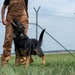 A black and tan German Shepherd dog is looking up attentively at a handler wearing brown Carhartt overalls and a black shirt. The scene takes place on a grass field adjacent to a chain-link fence topped with razor/barbed wire, suggesting a secured facility such as a military base or correctional institution. The dog appears to be in an active training or working K9 session.