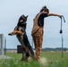 A dog trainer is working with a German Shepherd on a grass training field. The dog is rearing up on its hind legs while the handler holds a training toy or reward tool extended away from the dog. The setting appears to be a professional K9 training facility with fencing and training obstacles visible in the background.