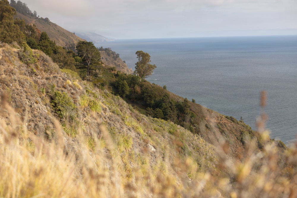 A coastal hillside landscape featuring a steep, vegetation-covered slope descending toward the ocean. The scene shows a rugged coastline with mixed dry and green shrubs, scattered trees, and a calm gray-blue sea extending to the horizon. The foreground is blurred with dry golden grasses, suggesting the photo was taken from an elevated vantage point.