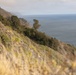 Los Padres National Forest Coastline