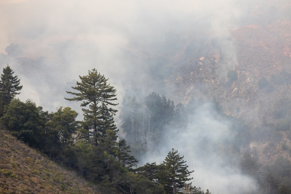 An aerial or elevated view of a wildfire burning through a mountainous forested area. Thick white and gray smoke fills the canyon and obscures much of the terrain. Some conifer trees in the foreground remain green while the surrounding hillsides show signs of burning.