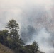 Timber Fire