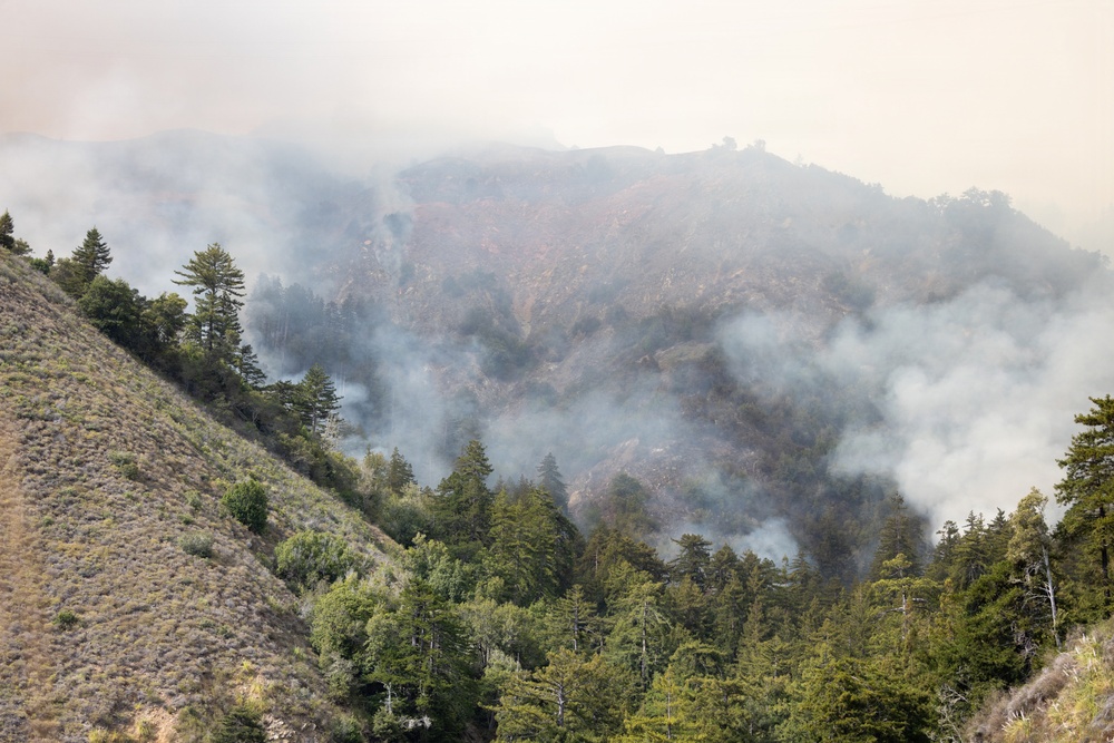 The image shows an active wildfire burning across a mountainous, forested landscape. A large hillside in the center-background appears heavily scorched and denuded of vegetation, with multiple smoke plumes rising throughout the scene. The foreground and flanking ridges still show green coniferous trees, indicating the fire is actively spreading.