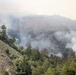 Timber Fire