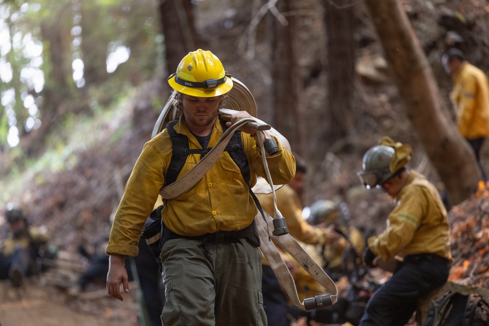 A team of wildland firefighters is working in a forested area with visible fire and smoke. The foreground firefighter is carrying a coiled fire hose over his shoulder while walking through the scene. Multiple crew members in standard wildland firefighting gear are actively working in the background.