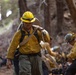 Timber Fire Hose Lay