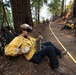 Timber Fire