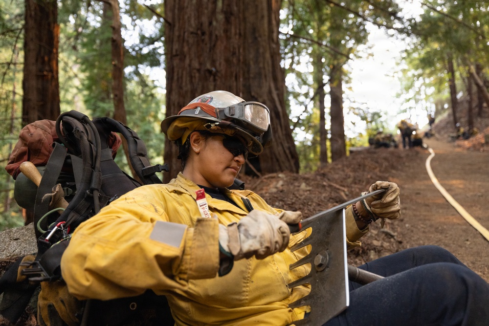 A wildland firefighter in full gear is resting on the ground in a forested area, holding what appears to be a metal tool or equipment piece. The setting shows a fire line or cleared path through tall trees, likely redwoods or sequoias, with a fire hose visible along the ground. Additional firefighters can be seen working in the background along the trail.