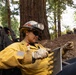 Timber Fire