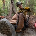 Timber Fire