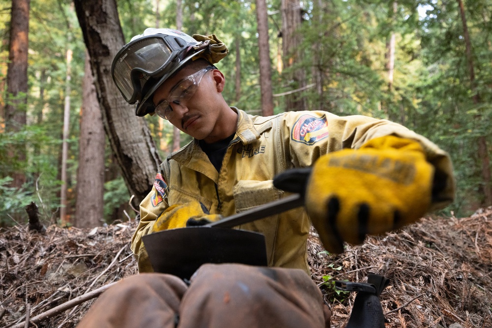 A CAL FIRE firefighter is working in a forested area, focused on a hand tool, likely sharpening or maintaining it. The individual is wearing standard wildland firefighting personal protective equipment including a yellow Nomex suit, hard hat, safety glasses, and yellow leather gloves. The forest setting with dry leaf litter on the ground suggests active fire suppression or fuel management operations.