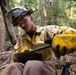 Timber Fire