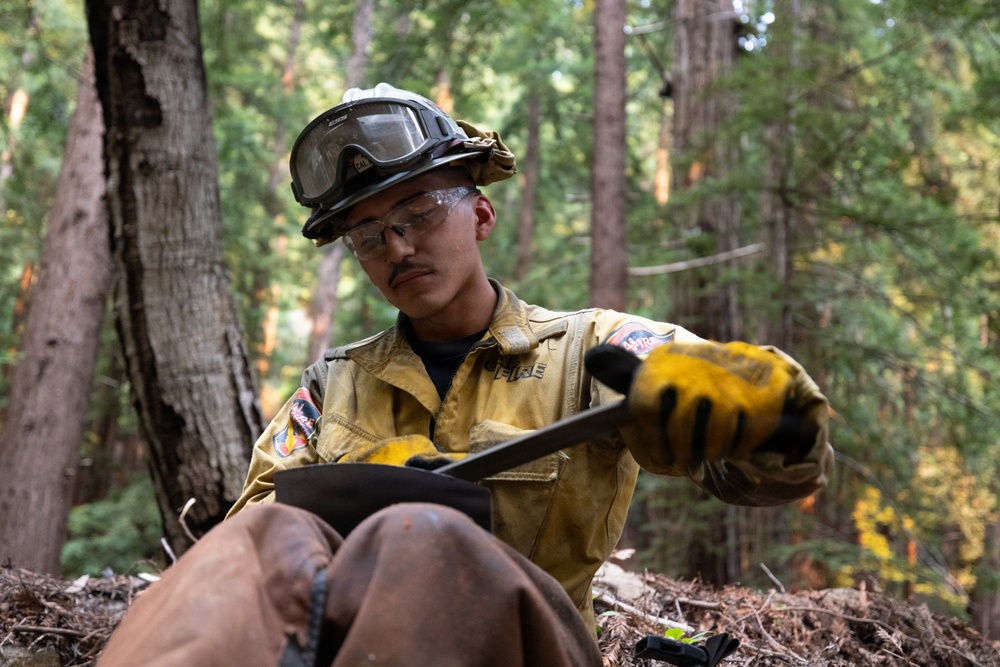 Timber Fire