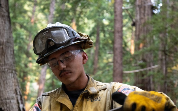 Timber Fire