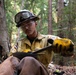 Timber Fire