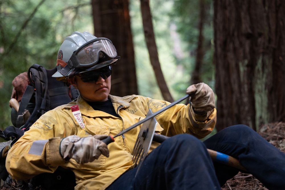 Timber Fire