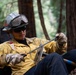Timber Fire