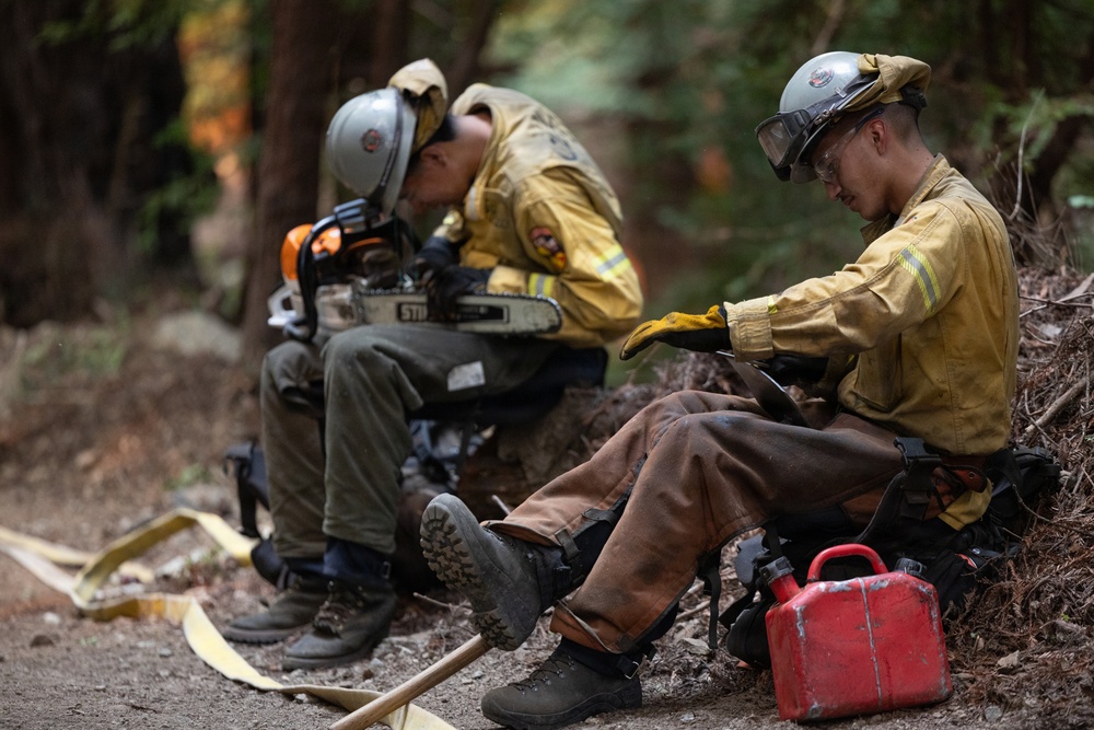 Timber Fire