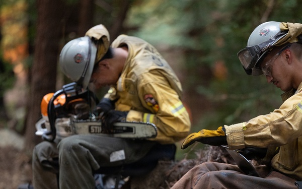 Timber Fire