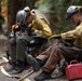 Timber Fire