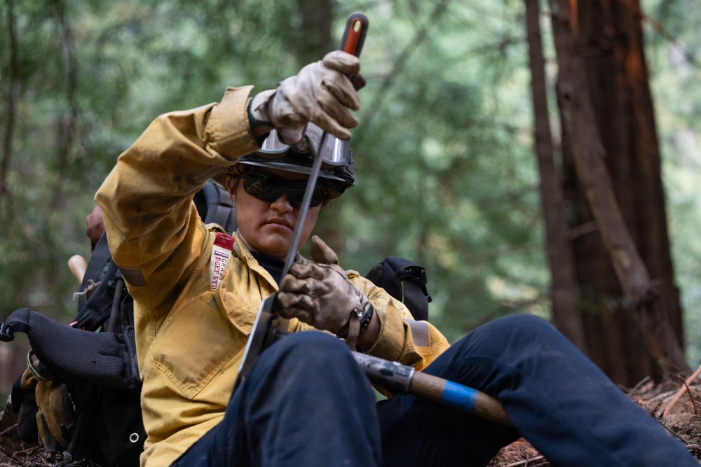 Timber Fire