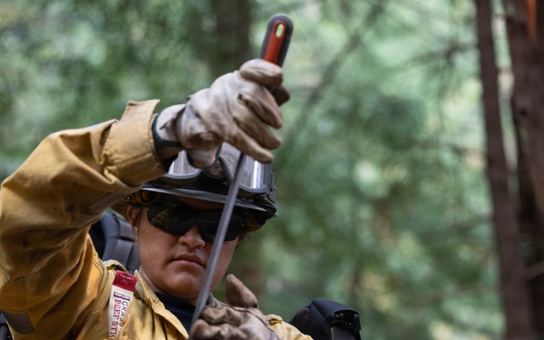 Timber Fire
