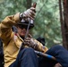 Timber Fire