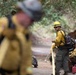 Timber Fire