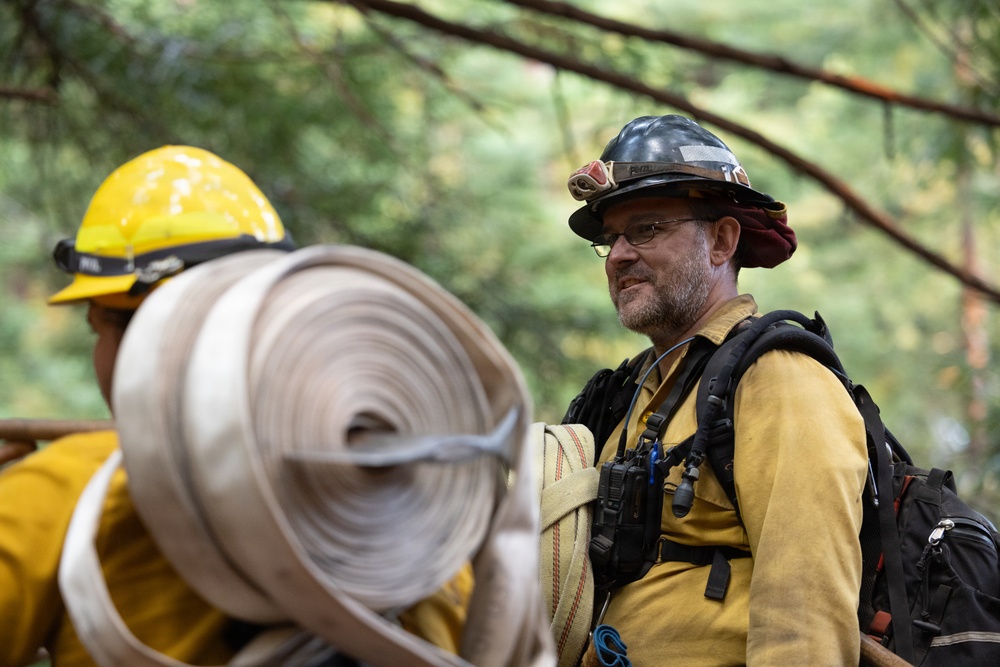 Timber Fire