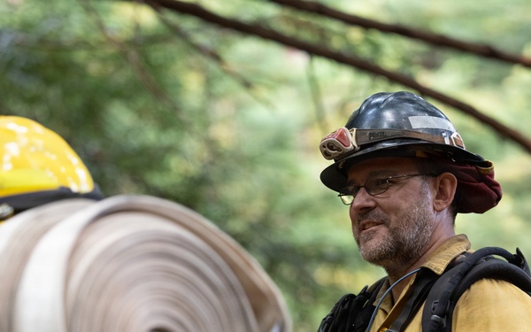 Timber Fire