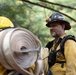 Timber Fire