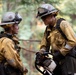Timber Fire
