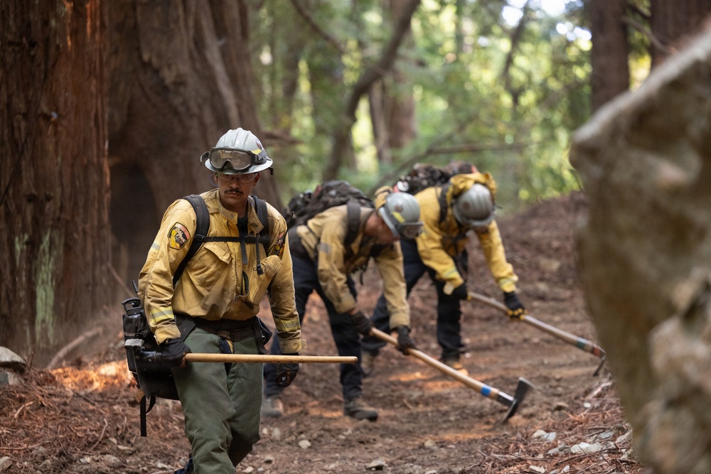 A crew of wildland firefighters in yellow Nomex protective gear are working a fire line through a forested area with large trees, likely redwoods or sequoias. The lead firefighter walks toward the camera carrying a hand tool, while colleagues behind him dig and scrape the ground to create a fire break. Small flames are visible near the ground to the left, indicating active fire suppression work.
