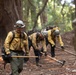 Timber Fire