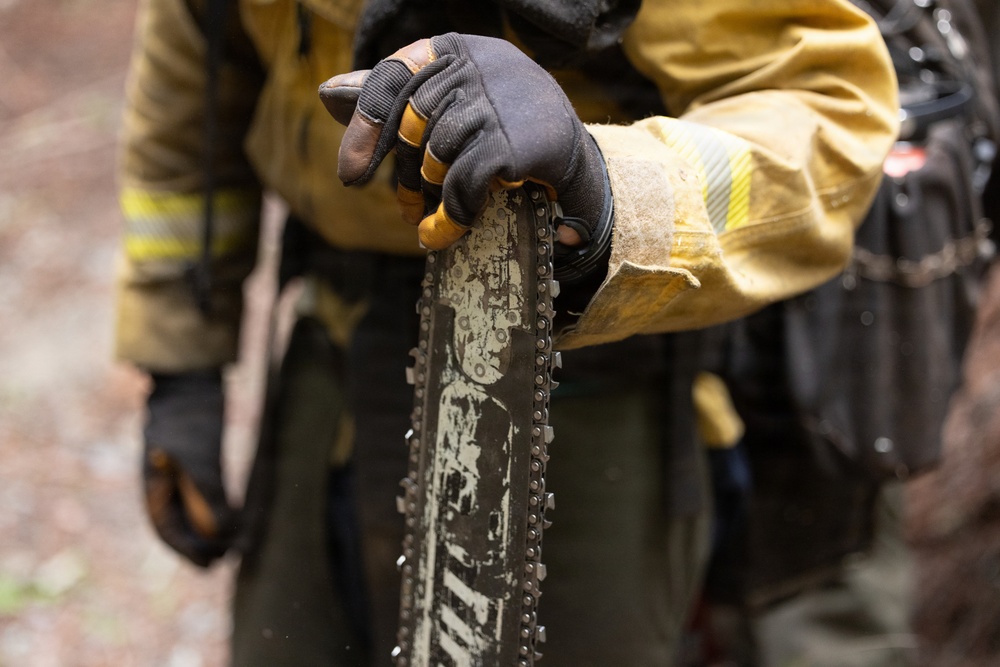 A person wearing yellow/tan firefighter or forestry protective gear and black work gloves is holding the guide bar of a chainsaw. The chainsaw bar is visibly worn and covered in dirt or sawdust residue. The setting appears to be an outdoor, wooded environment.