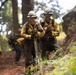 Timber Fire