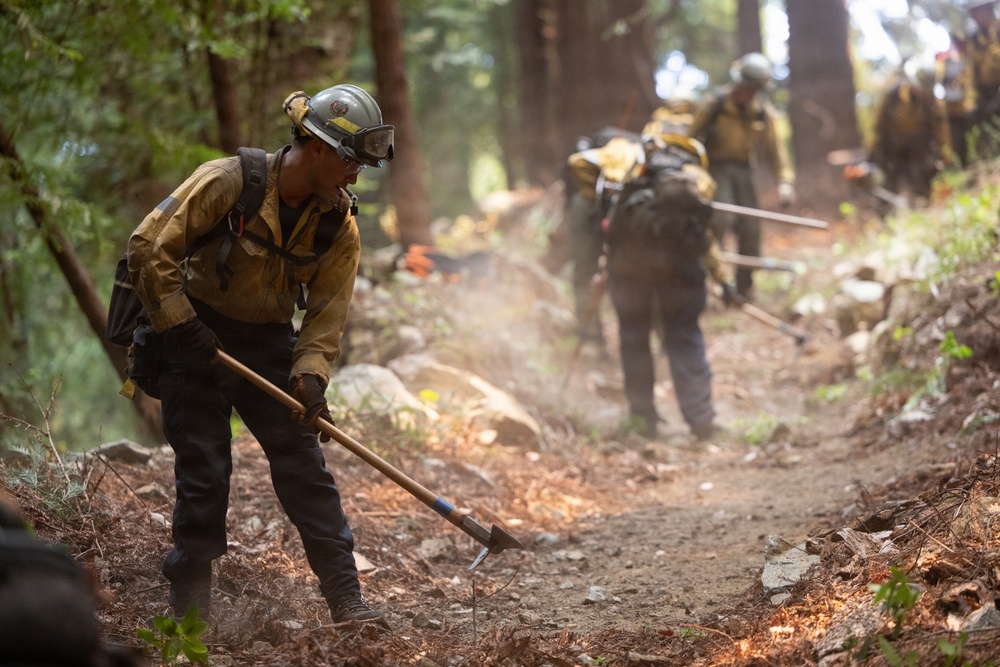 A crew of wildland firefighters is working in a forested area, constructing or clearing a fire line along a dirt path. The foreground worker is using a Pulaski tool to scrape and clear vegetation and debris from the ground. Multiple crew members in standard wildland firefighting gear are visible working in a line extending into the background.