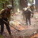Timber Fire