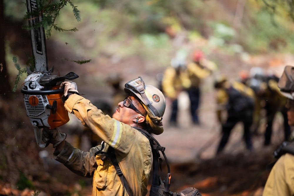A wildland firefighter in the foreground is operating a STIHL chainsaw, cutting tree branches overhead while wearing standard protective gear. Multiple crew members are visible in the blurred background, also dressed in yellow Nomex fire-resistant clothing and working in a forested area. The scene depicts a hand crew creating or clearing a fire line in a wooded environment.