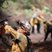 Timber Fire