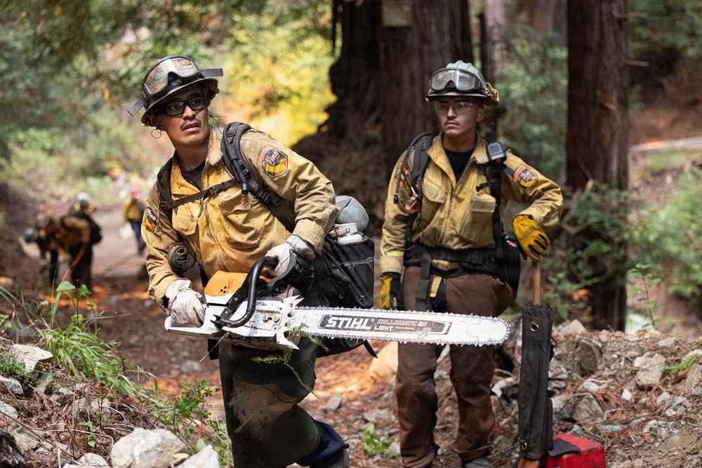 Two wildland firefighters in Nomex protective gear are working in a forested area, with the foreground firefighter carrying a STIHL chainsaw. Additional crew members are visible in the background on a dirt trail. The setting appears to be an active wildfire suppression or fire line construction operation among large redwood or conifer trees.