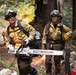 Timber Fire