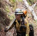 Timber Fire