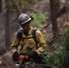 Timber Fire