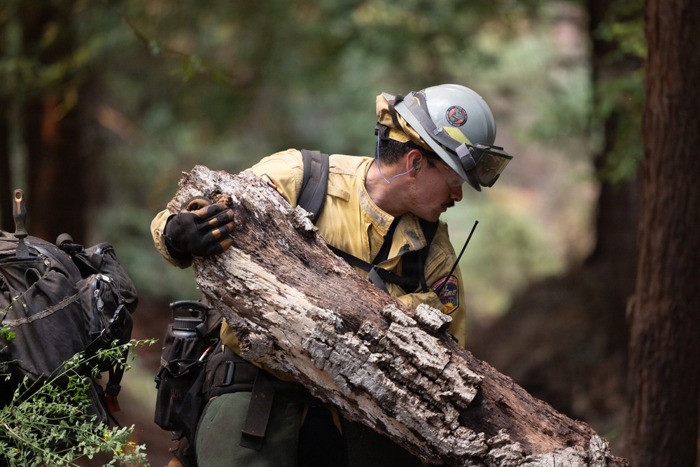 A wildland firefighter in full personal protective equipment is manually handling a large, charred log in a forested area. The worker is wearing standard nomex gear and appears to be clearing or moving debris, likely as part of fire suppression or mop-up operations. The surrounding forest shows signs of fire activity with scorched trees visible in the background.