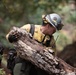 Timber Fire