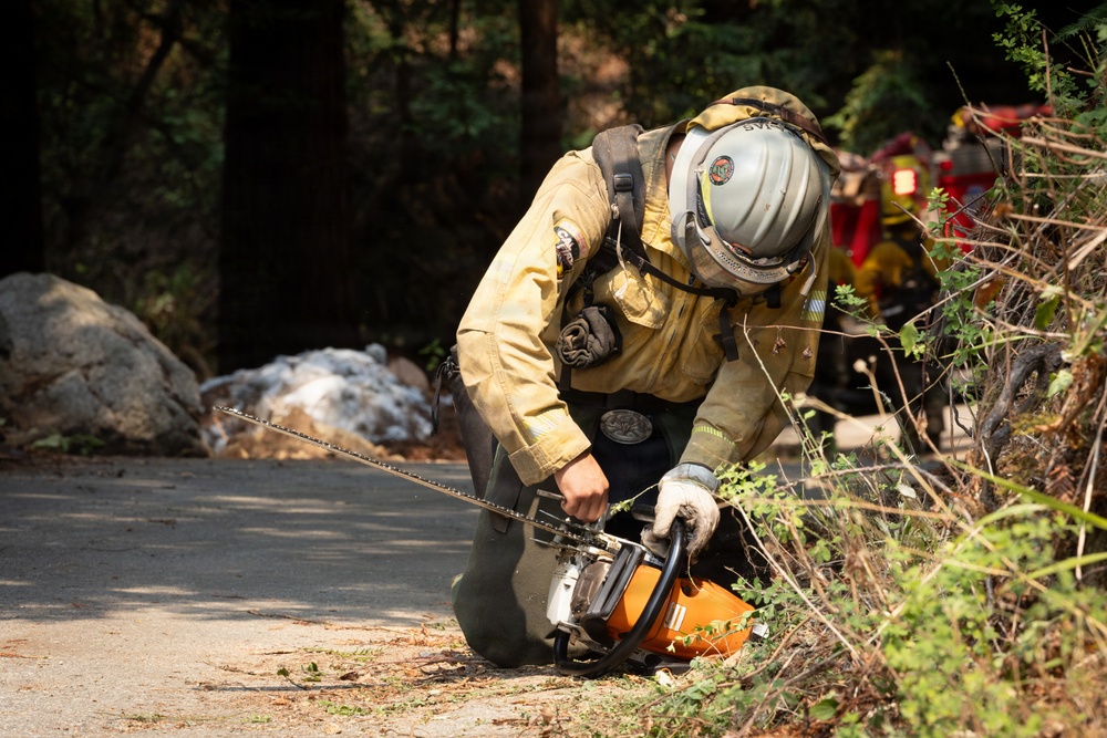 A wildland firefighter in full protective gear is kneeling on a paved surface while handling a Stihl chainsaw near dense brush and vegetation. The worker appears to be clearing or cutting brush along a roadside, likely as part of fire suppression or fuel reduction efforts. Additional firefighting personnel and equipment, including what appears to be a red fire engine, are visible in the background.