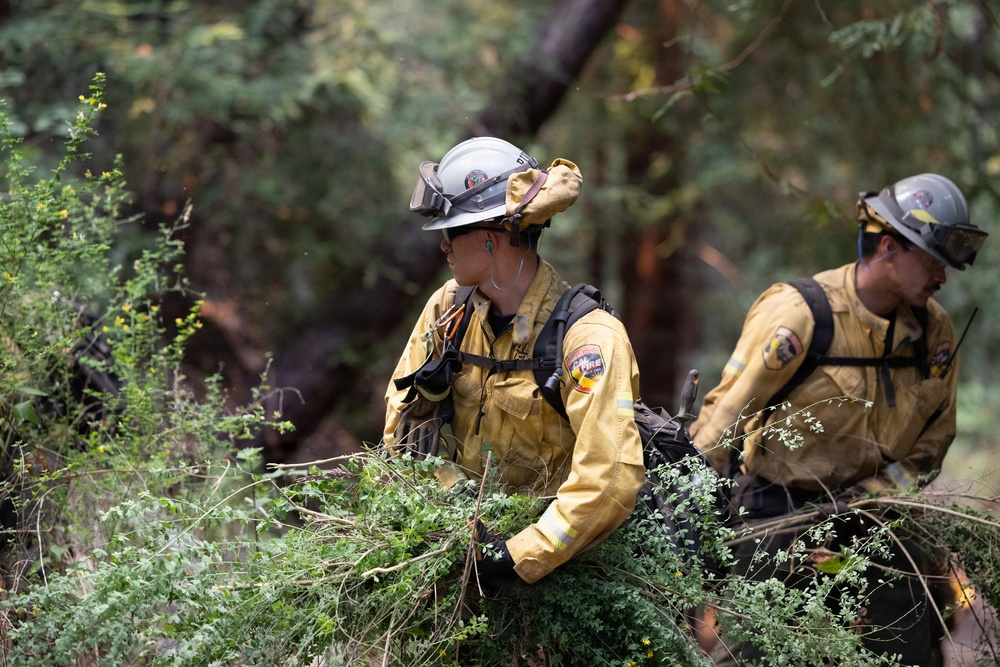 Two wildland firefighters in yellow Nomex fire-resistant gear are working in a dense forested area, clearing brush and vegetation. Both wear white hard hats with face shields and carry radio communication equipment. They appear to be conducting fuel reduction or fire line construction operations.