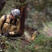Timber Fire