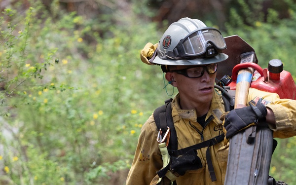 Timber Fire